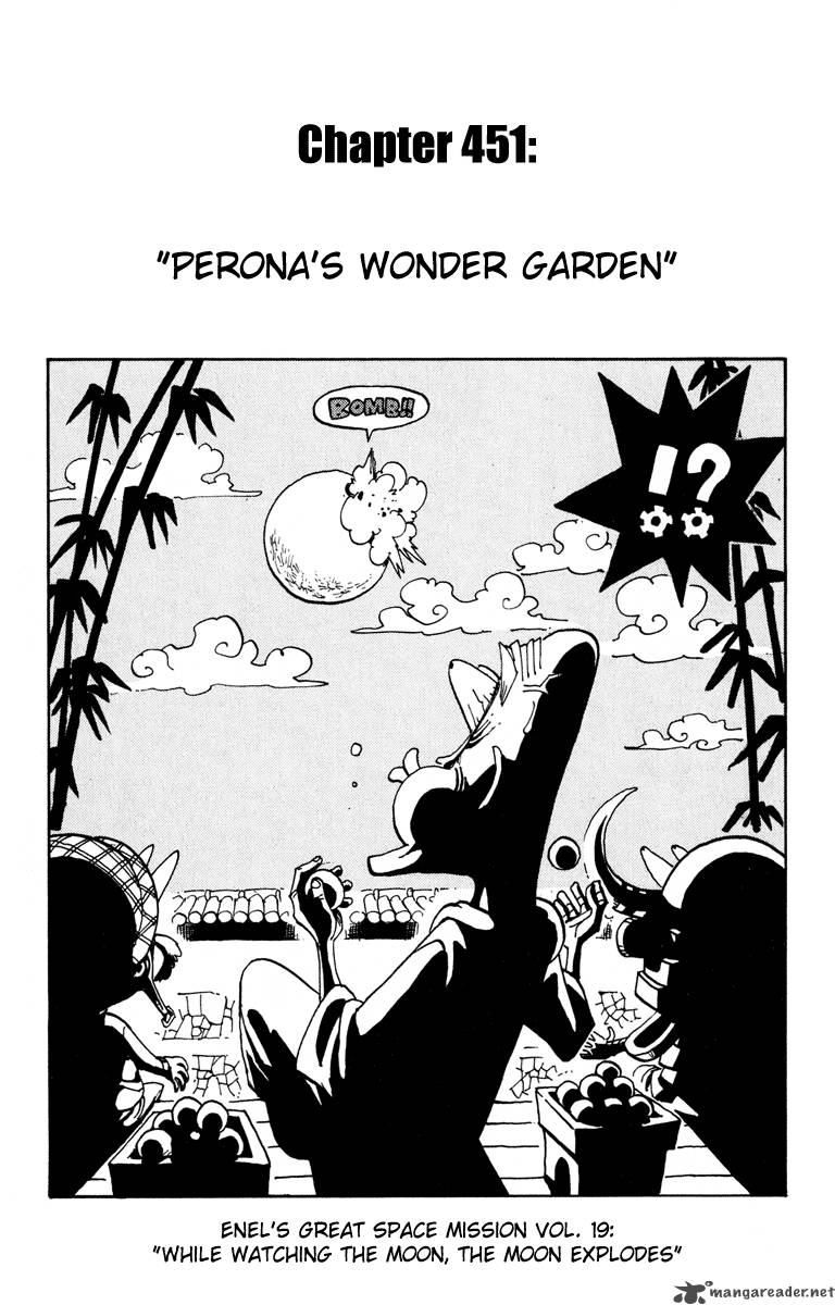 One Piece 451 1