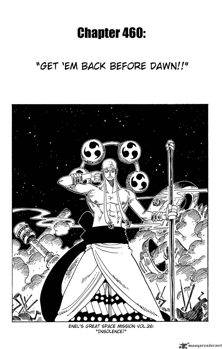 One Piece 460 11