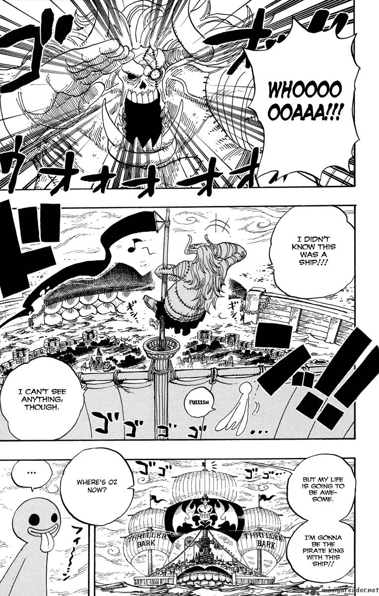 One Piece 460 17