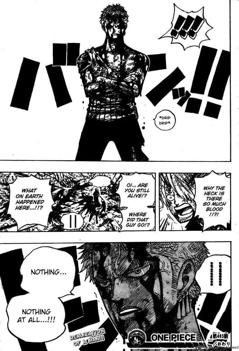 One Piece 485 19