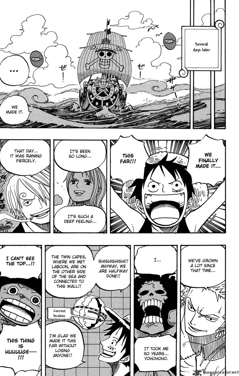 One Piece 490 9