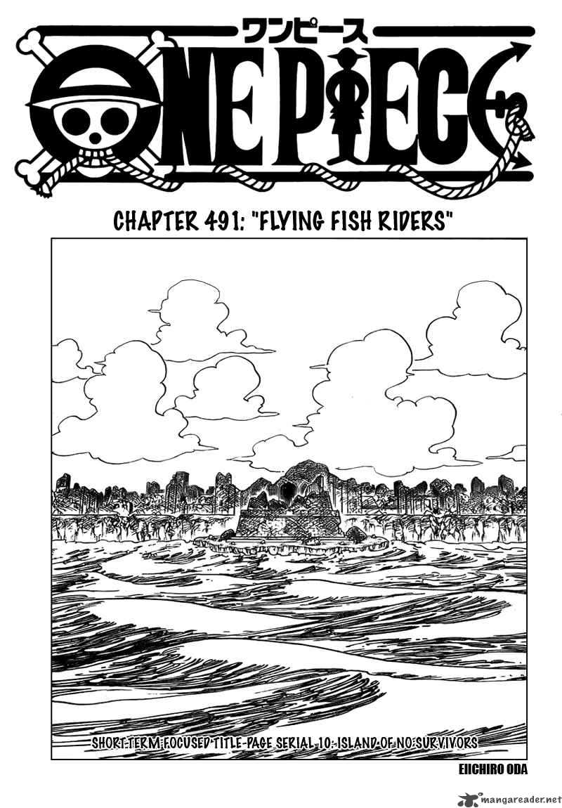 One Piece 491 1