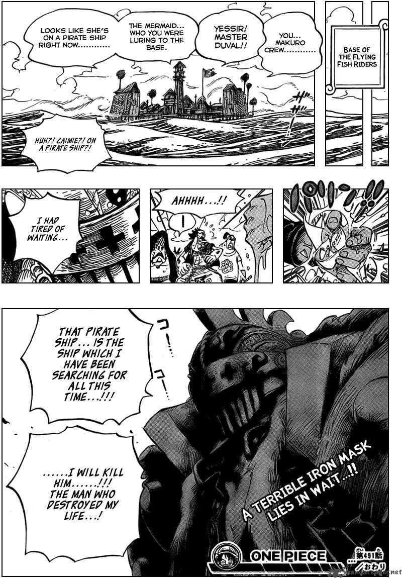 One Piece 491 19
