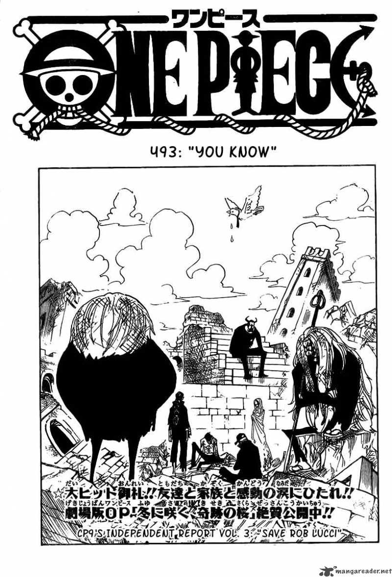 One Piece 493 1