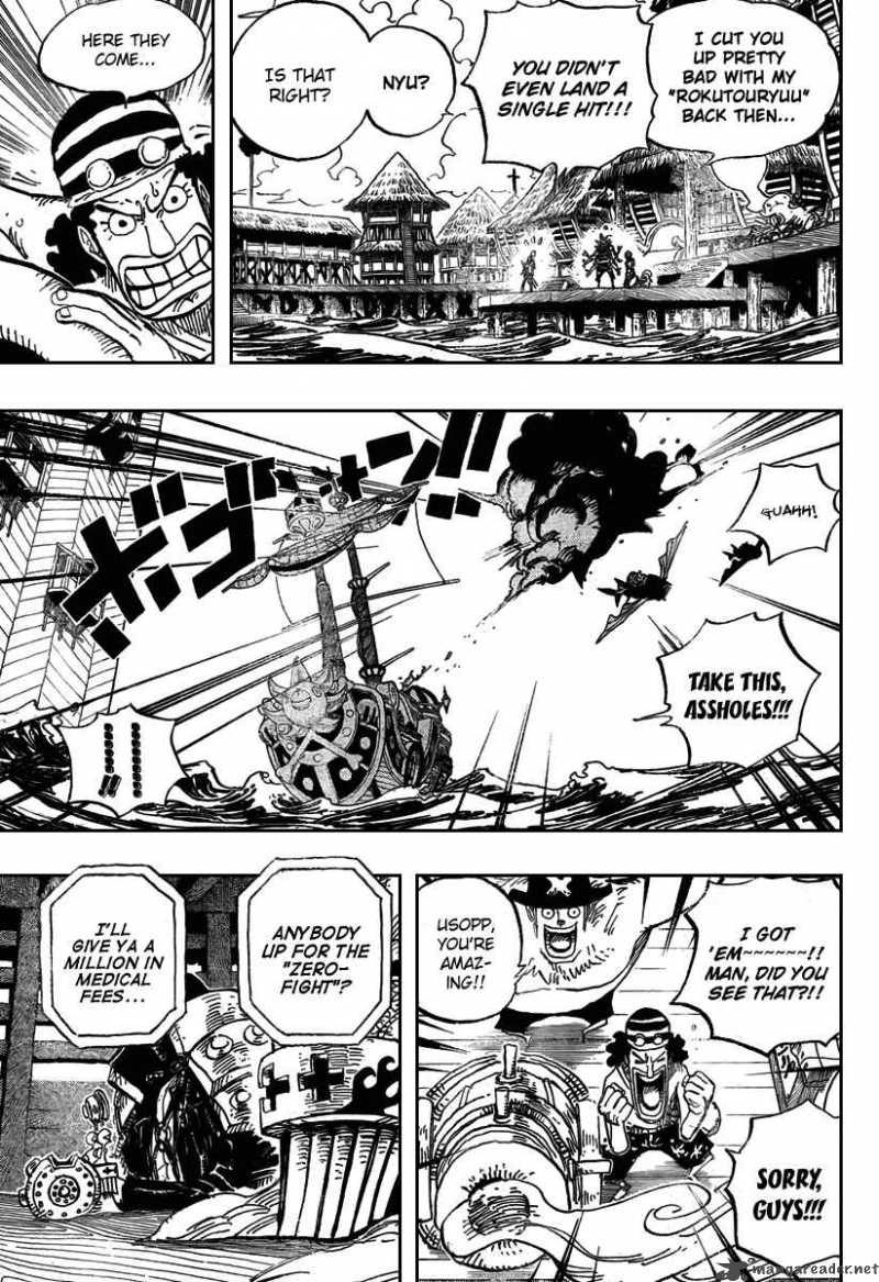 One Piece 493 11