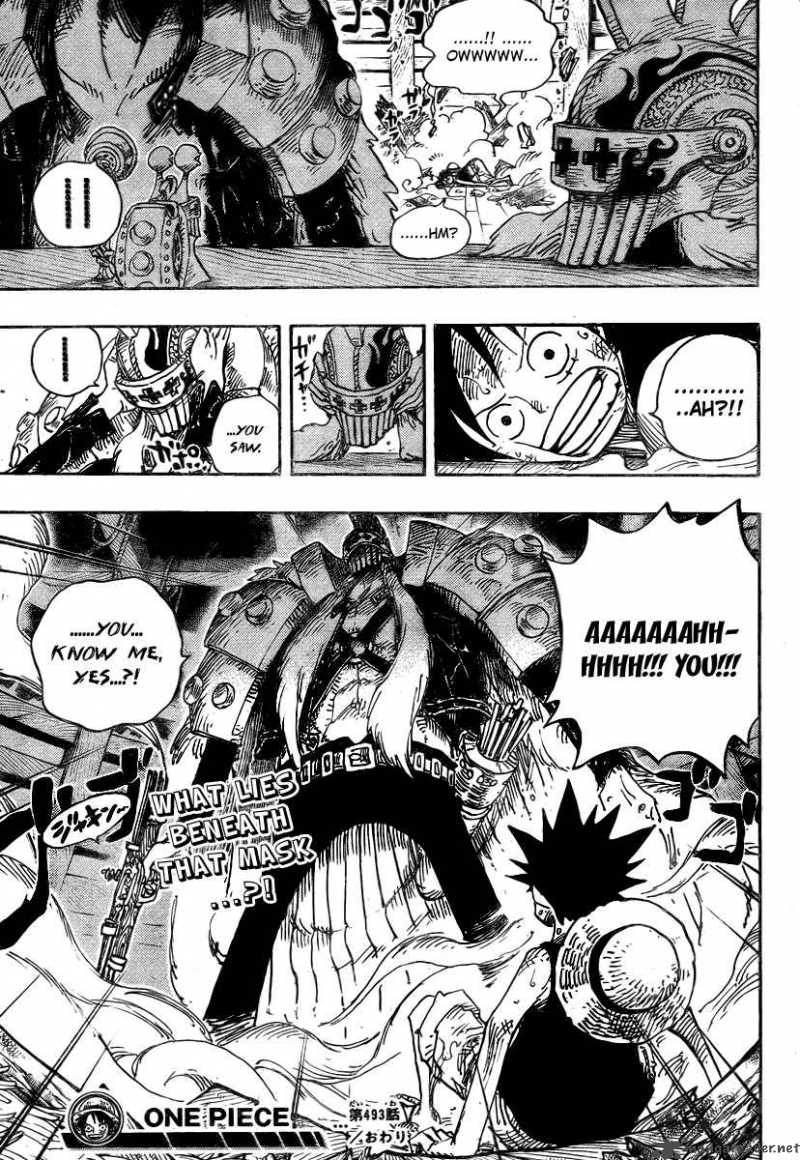 One Piece 493 19