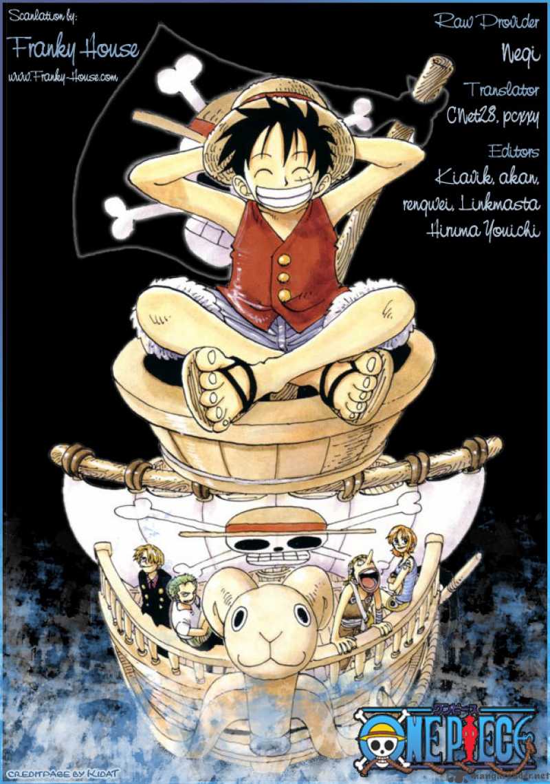 One Piece 493 20