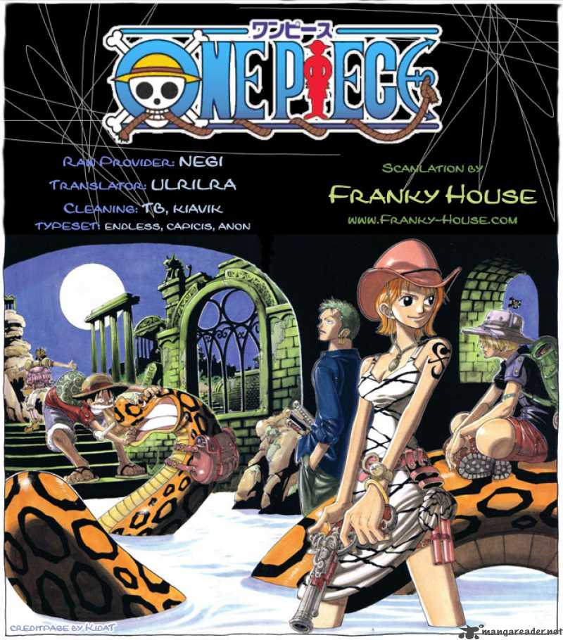 One Piece 494 1