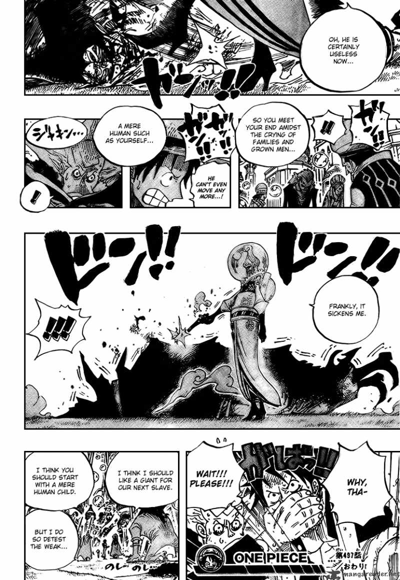 One Piece 497 18