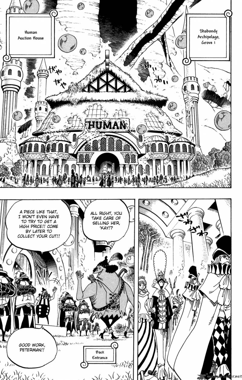 One Piece 500 13