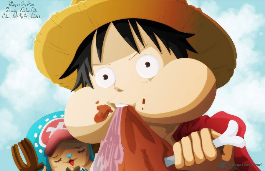 One Piece 655 20