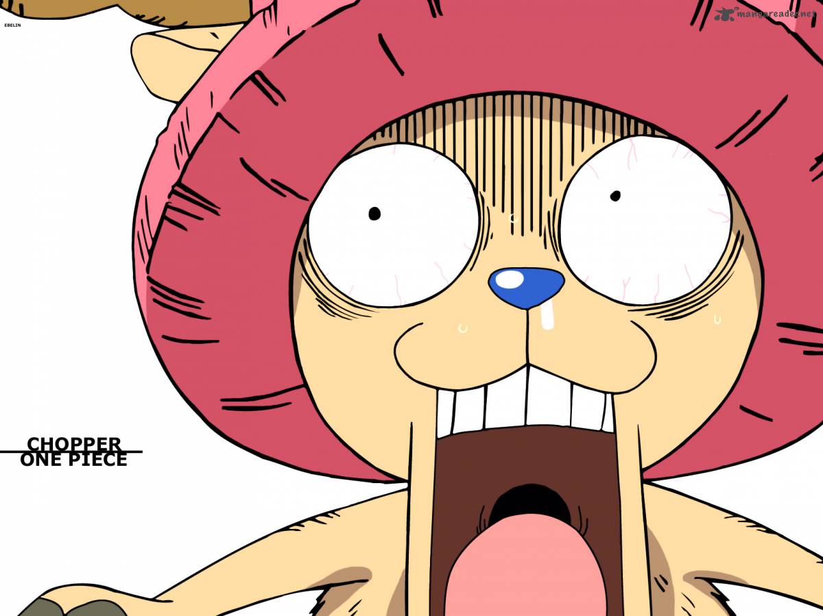 One Piece 700 2