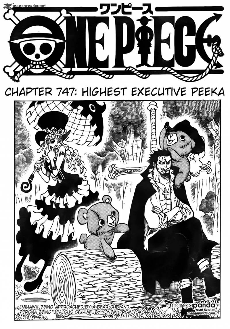 One Piece 747 3