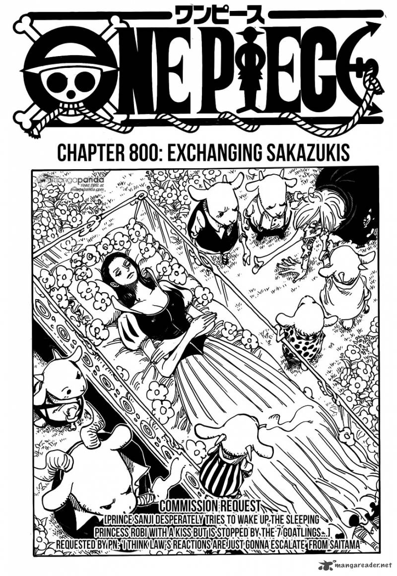 One Piece 800 1