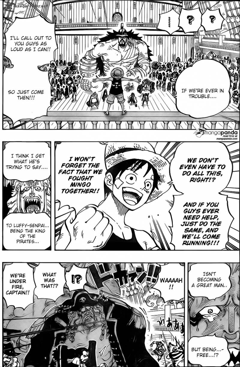 One Piece 800 5