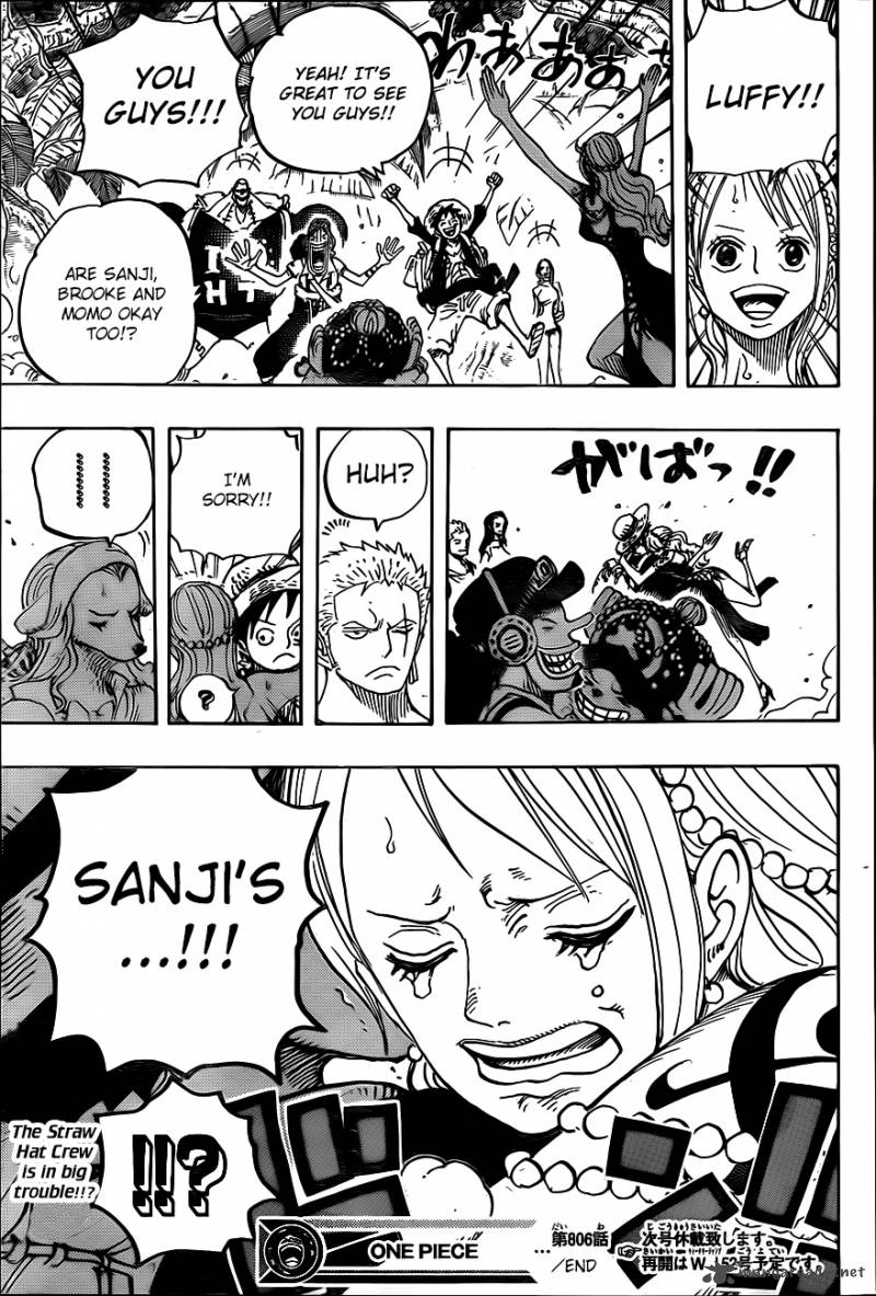 One Piece 806 16