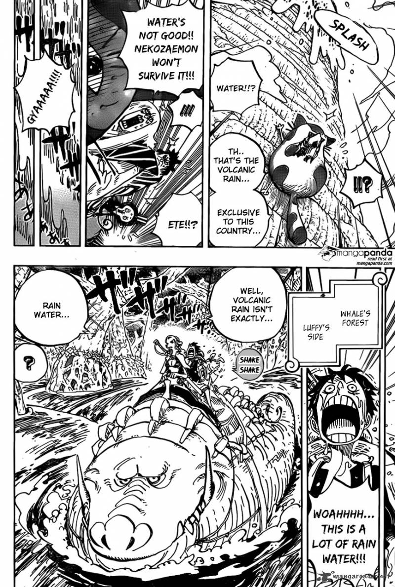 One Piece 806 4
