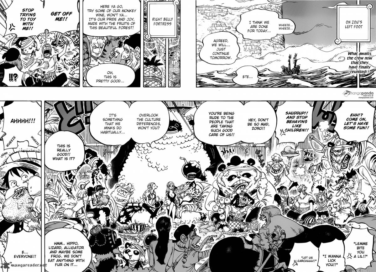 One Piece 807 2