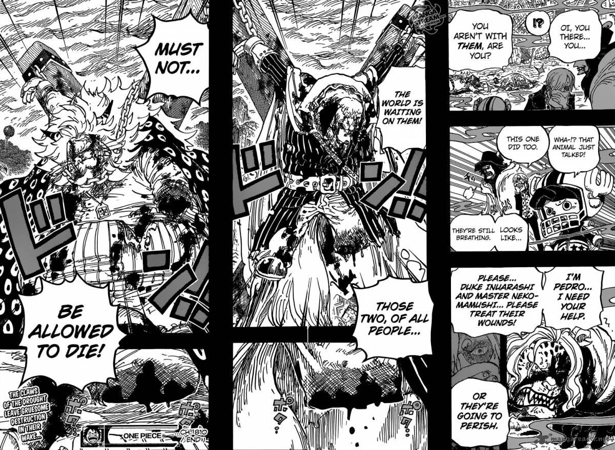 One Piece 810 18