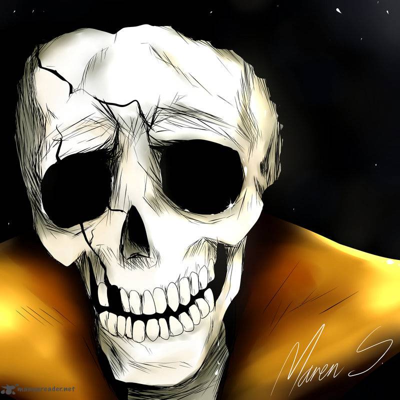 One Piece 816 19