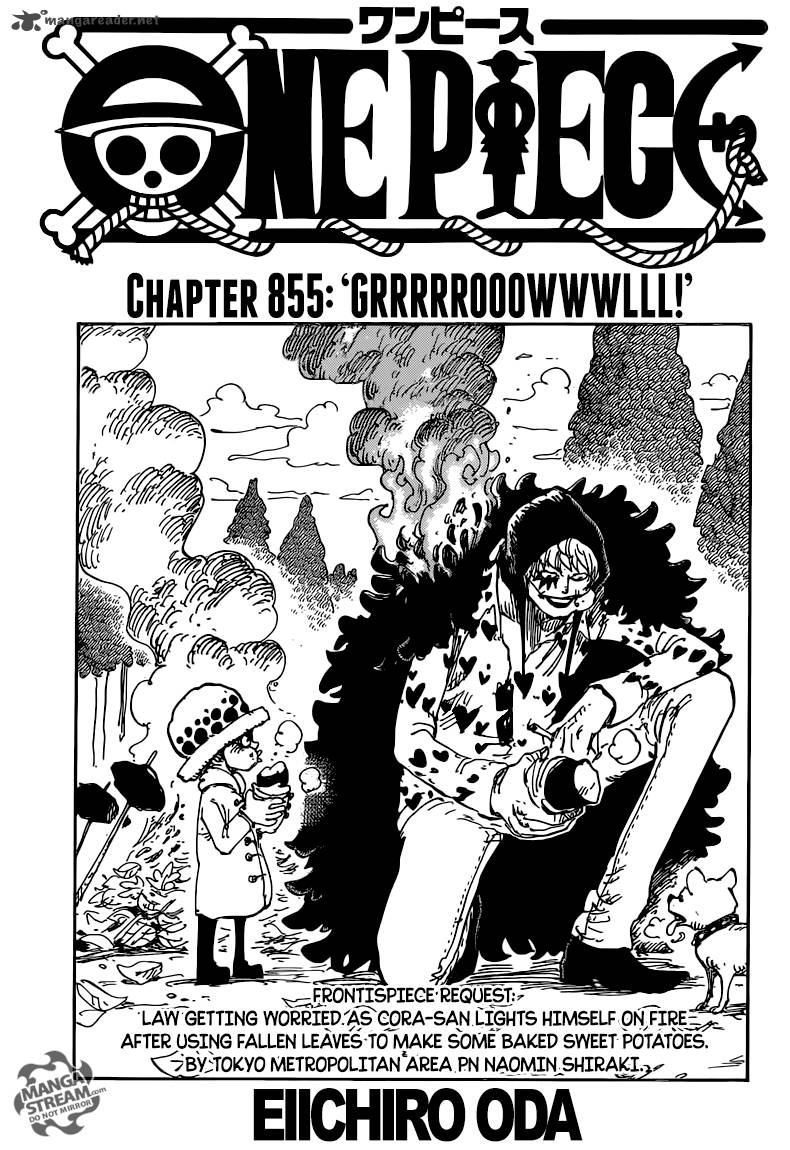 One Piece 855 1