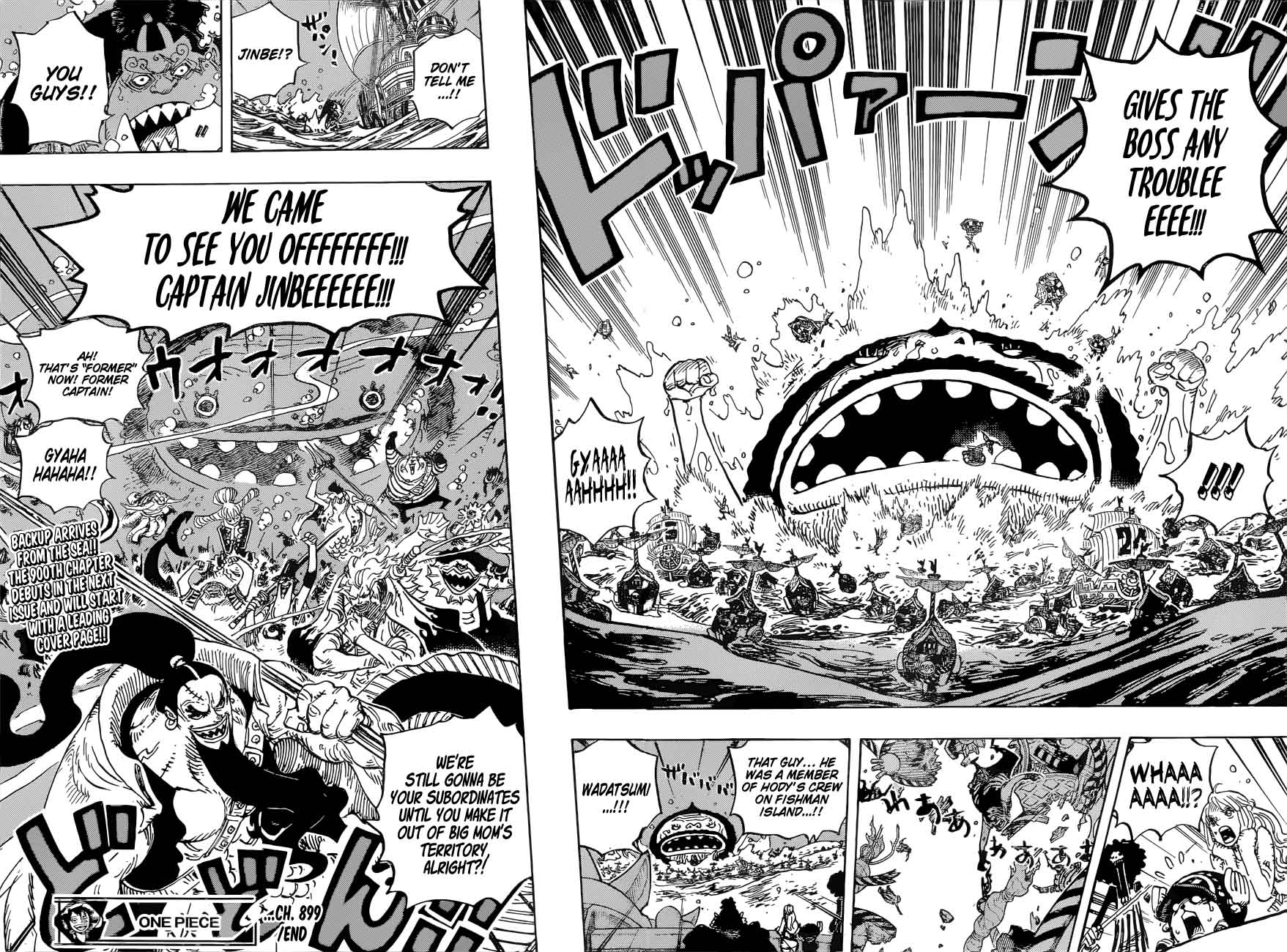 One Piece 899 16