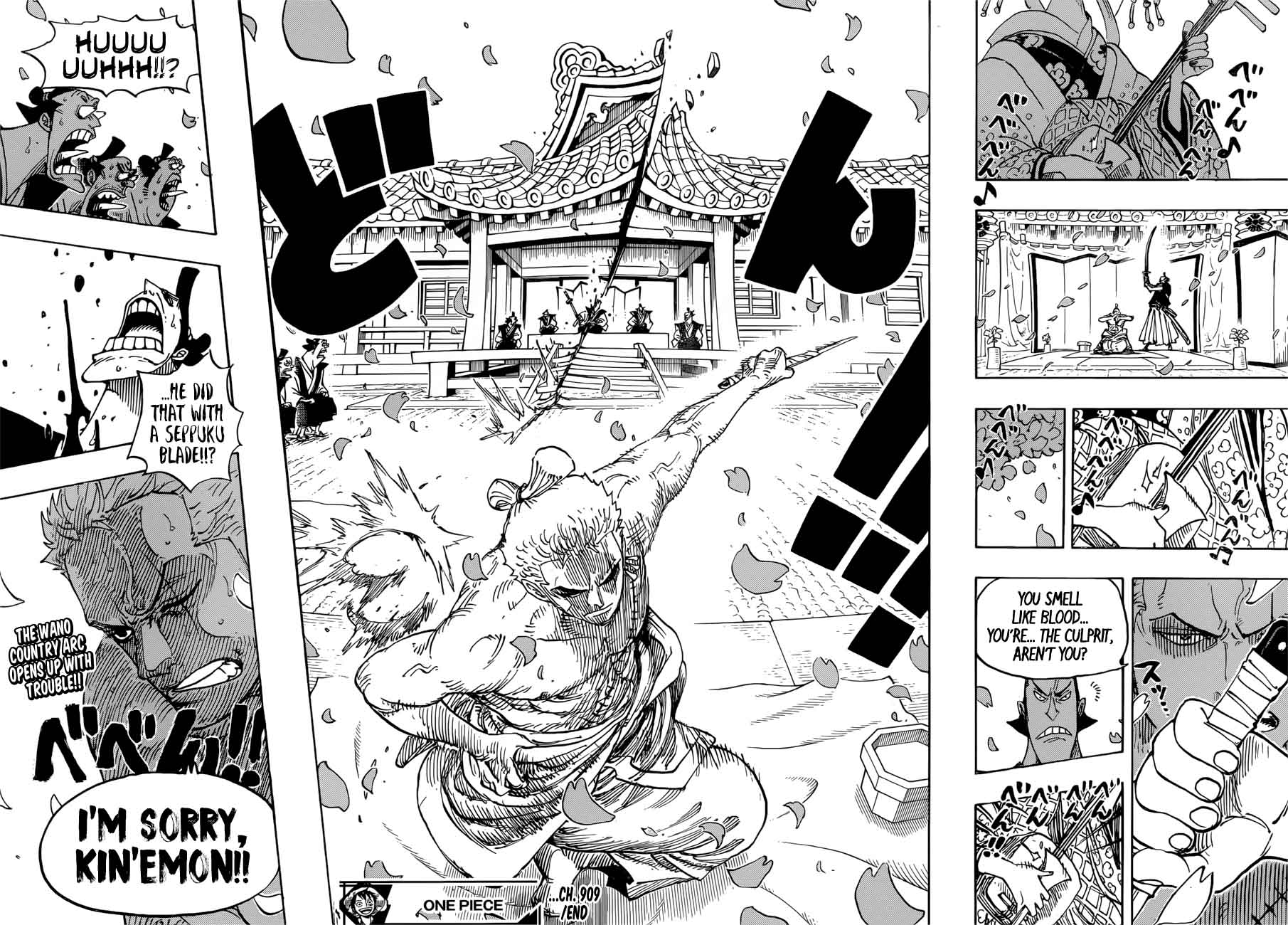 One Piece 909 15