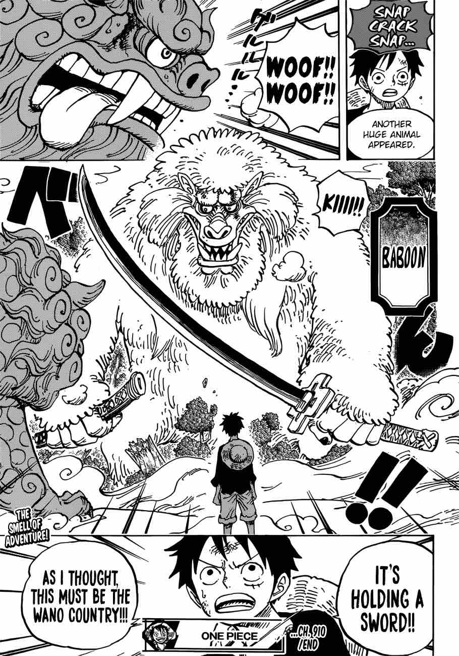 One Piece 910 12