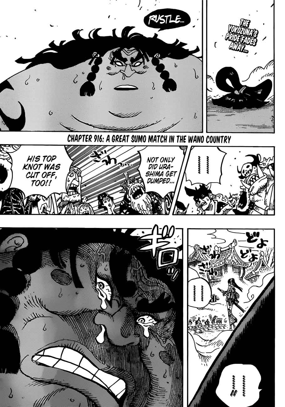 One Piece 916 3