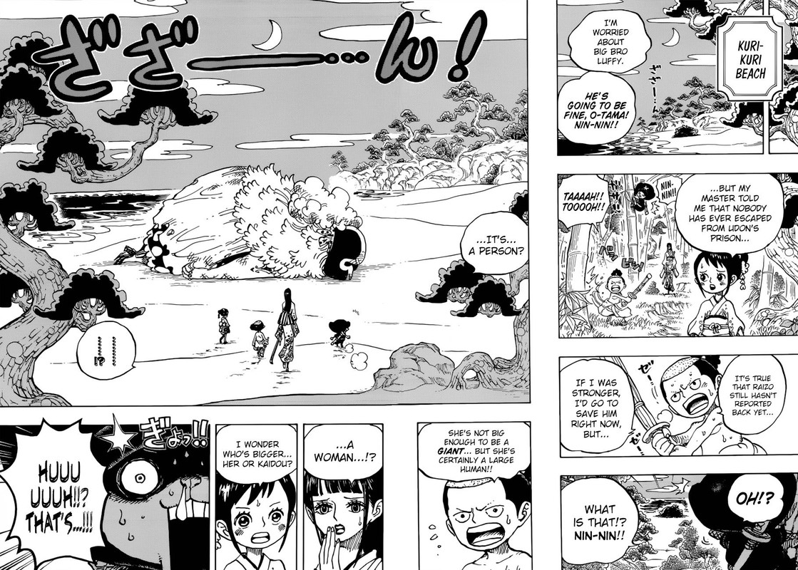 One Piece 931 13