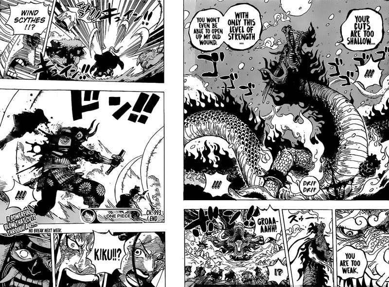 One Piece 993 15