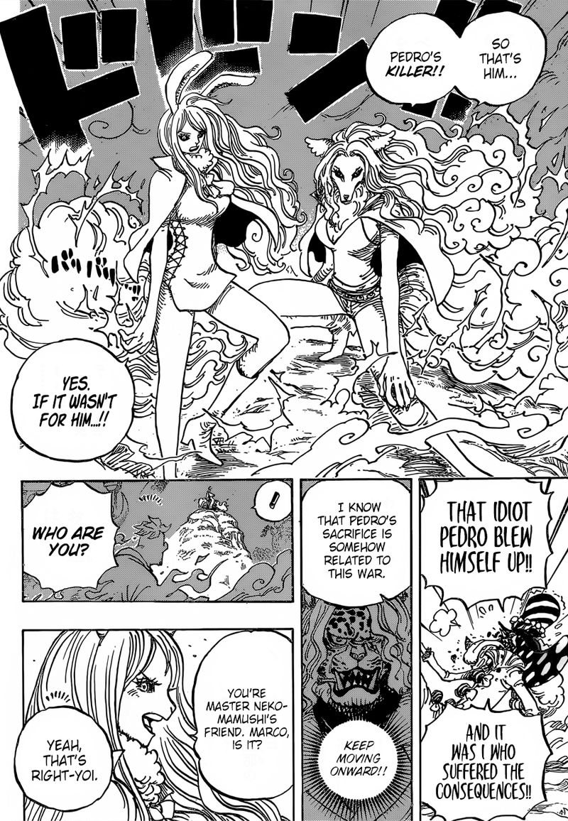 One Piece 995 5