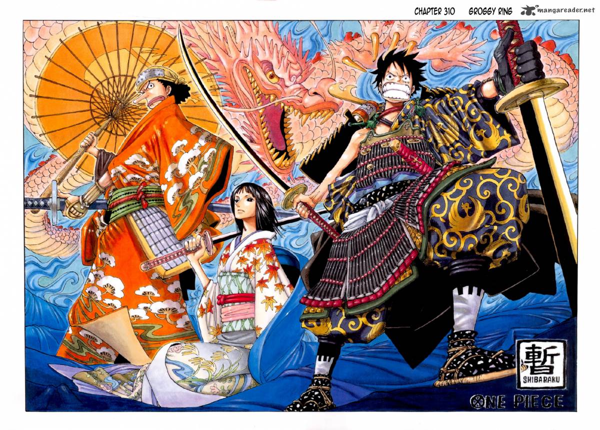 One Piece Colored 310 2
