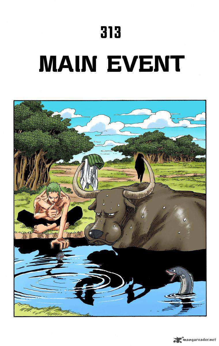 One Piece Colored 313 2