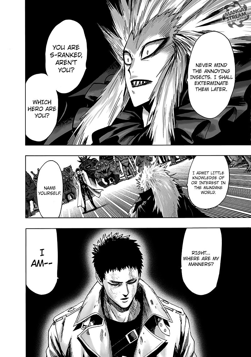 Onepunch Man 101 17