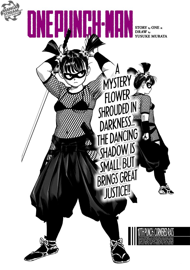 Onepunch Man 117 1