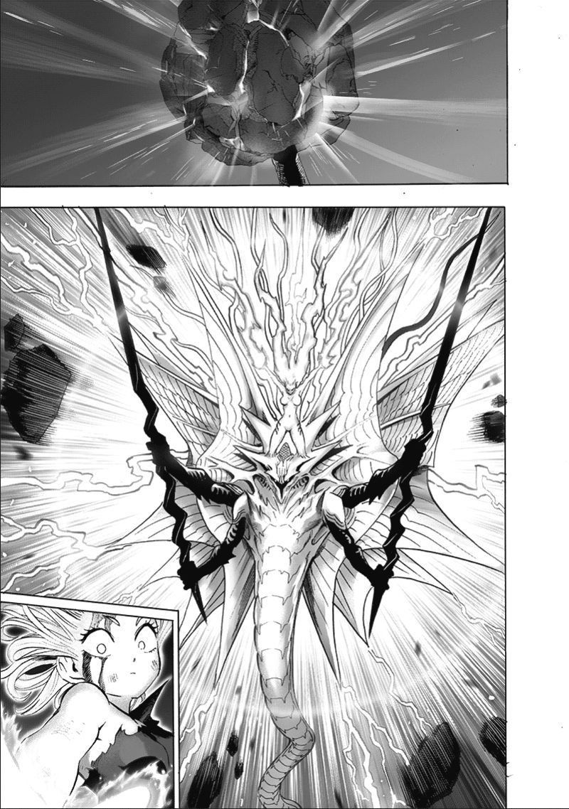 Onepunch Man 133 11