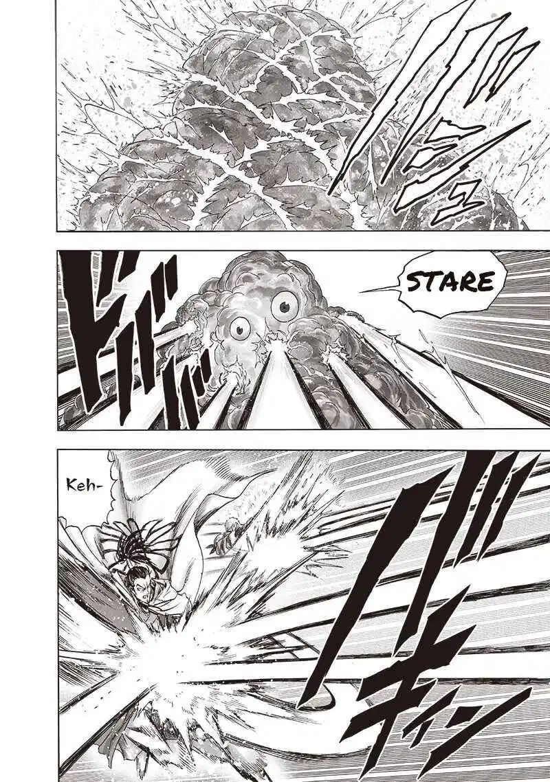 Onepunch Man 145 2