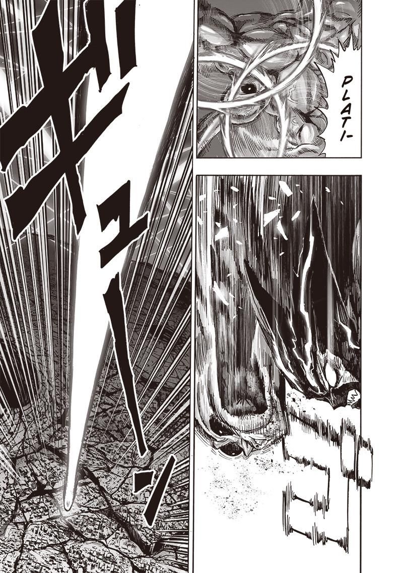 Onepunch Man 156 16