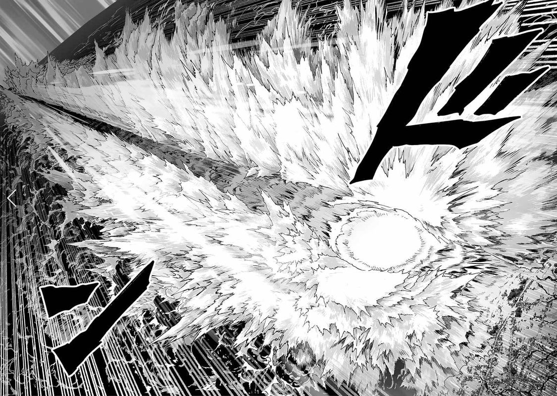 Onepunch Man 157 14