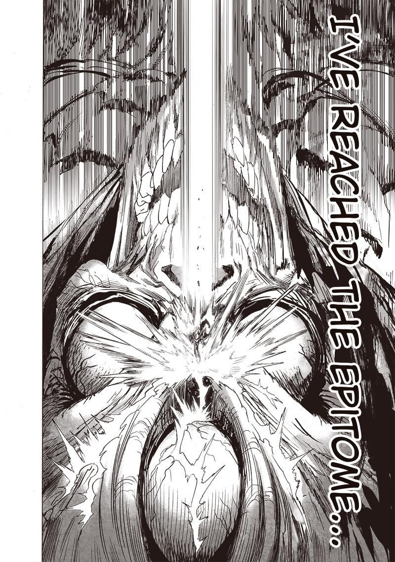 Onepunch Man 159 16