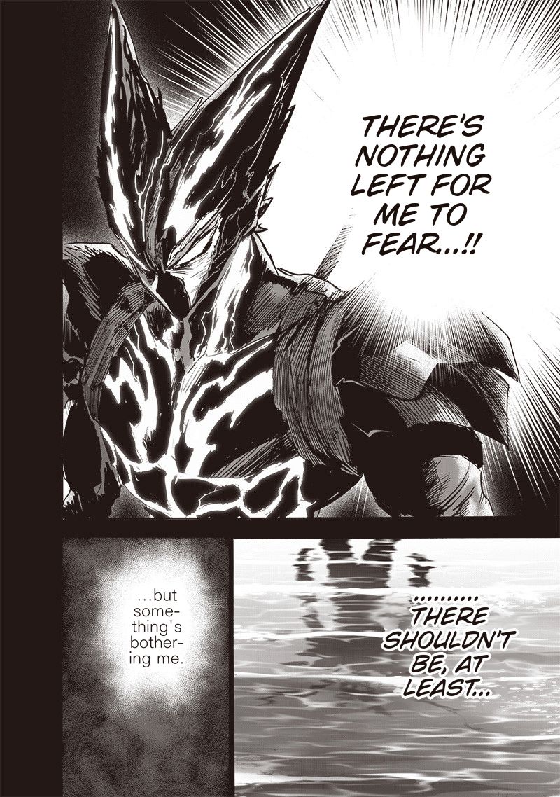 Onepunch Man 161 4