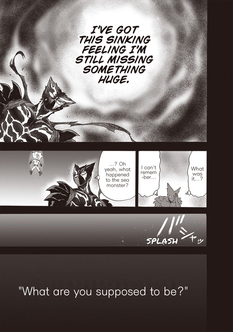 Onepunch Man 161 5