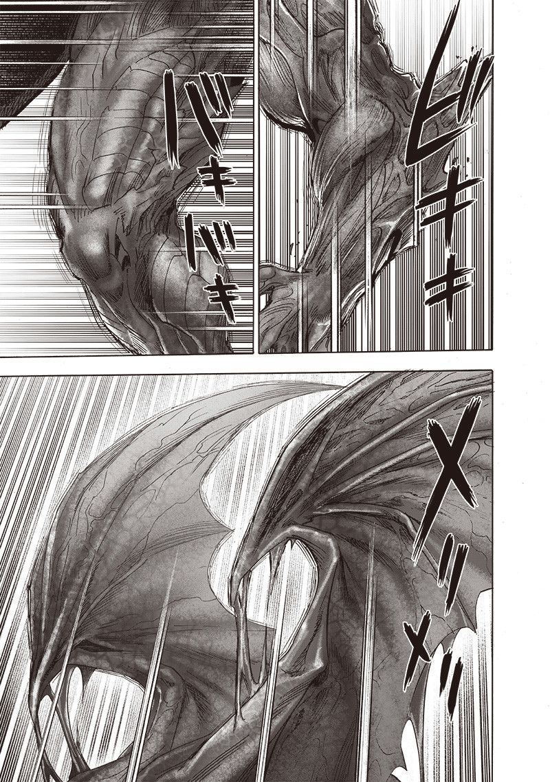 Onepunch Man 163 29
