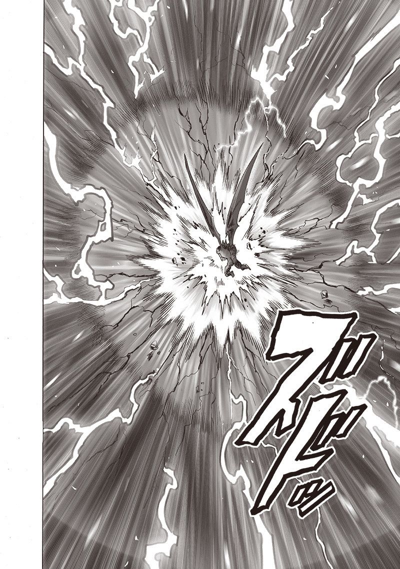 Onepunch Man 163 33