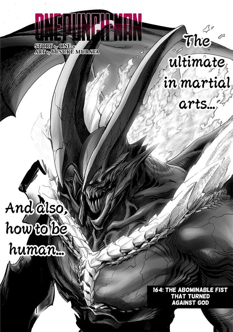 Onepunch Man 164 1
