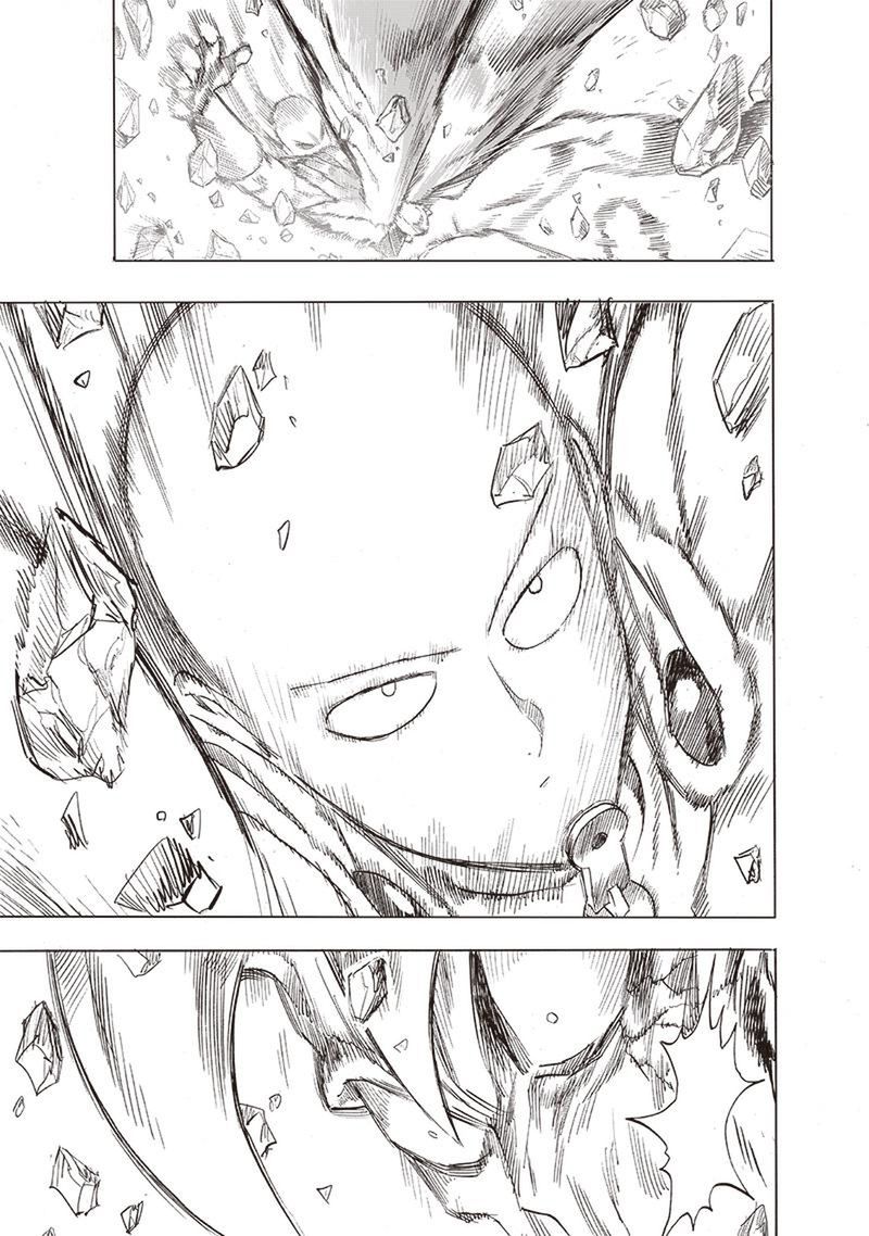 Onepunch Man 164 17