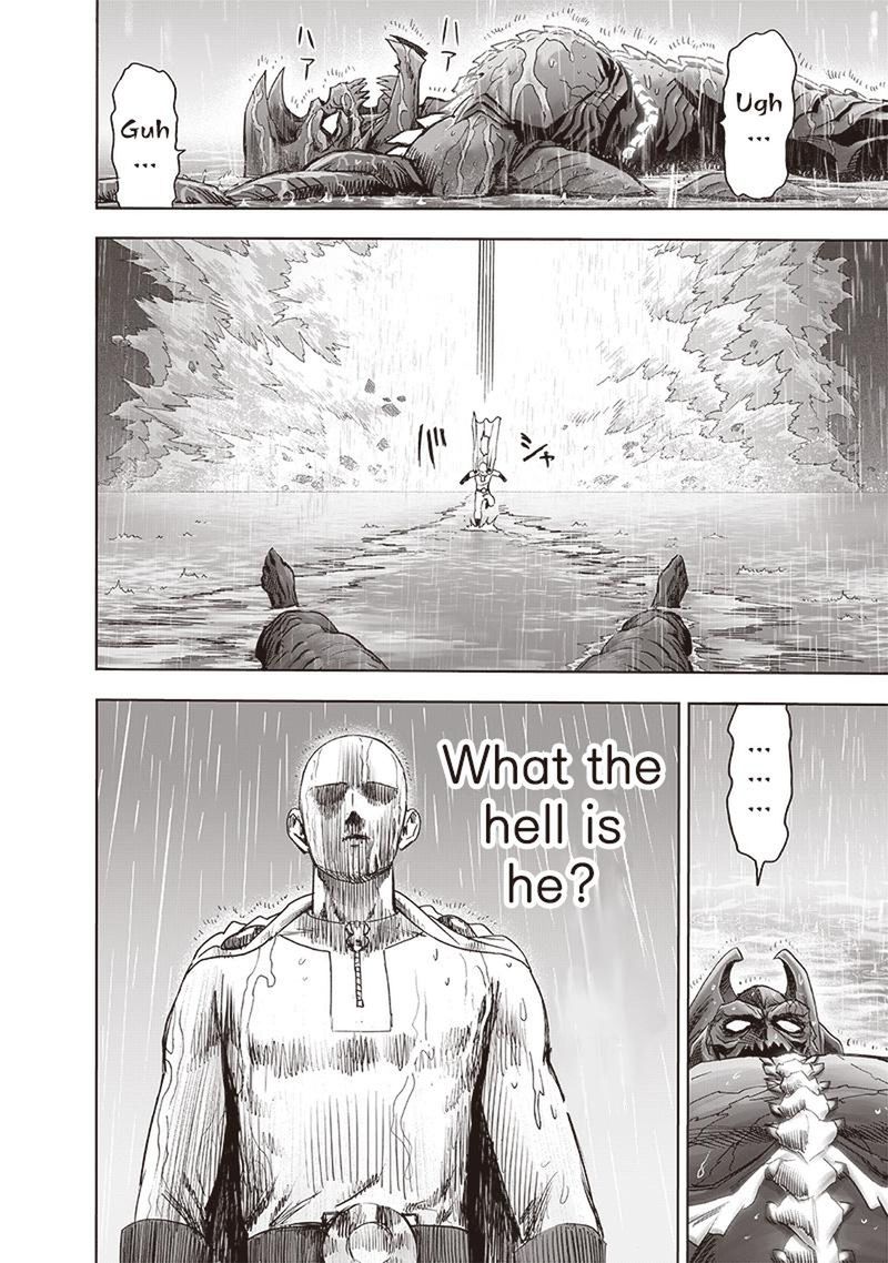 Onepunch Man 164 24