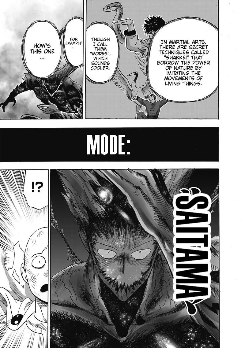 Onepunch Man 165 14