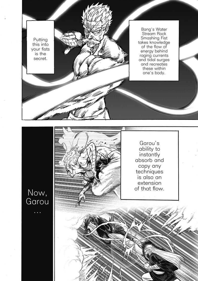 Onepunch Man 165 2